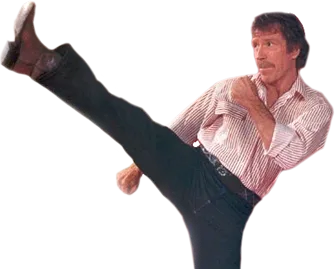 chuck norris kick